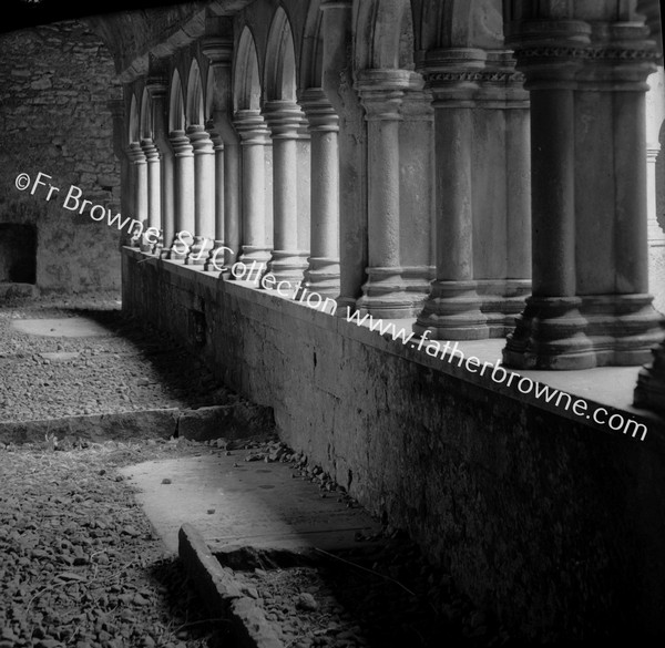 FRIARY IN THE CLOISTERS LOOKING FROM S.E. CORNER